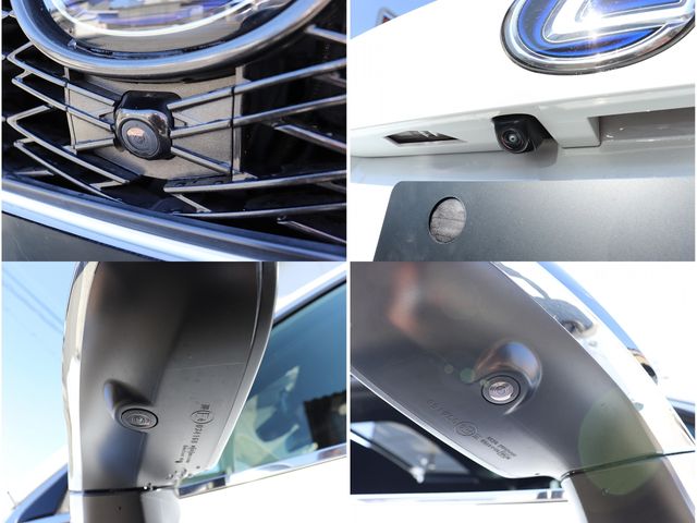 TOYOTA LEXUS NX300H 2020 Image 31