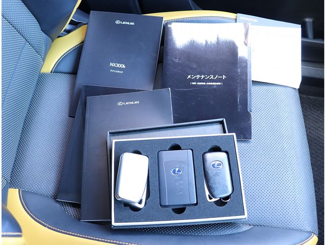 TOYOTA LEXUS NX300H 2020 Image 31