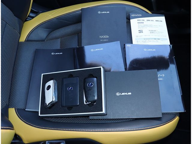 TOYOTA LEXUS NX300H 2020 Image 31