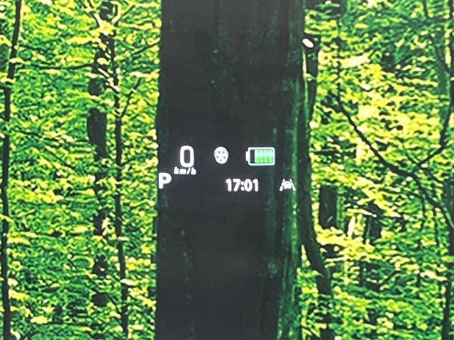 SUZUKI SPACIA CUSTOM 2022 Image 31