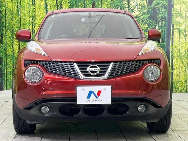 NISSAN JUKE 2011 Image 31