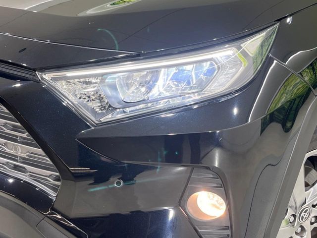 TOYOTA RAV4 4WD 2019 Image 31