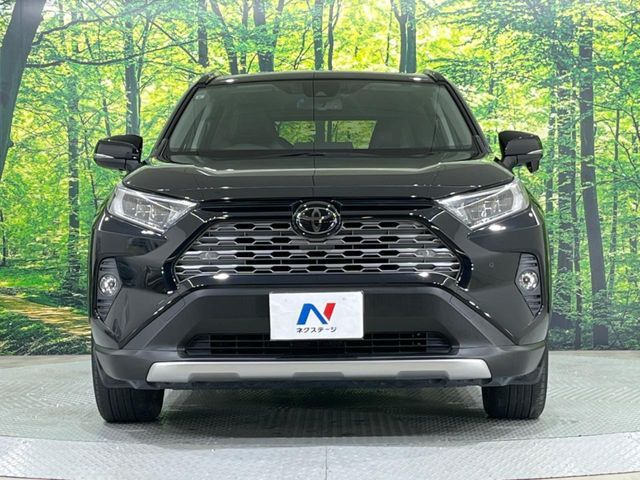 TOYOTA RAV4 4WD 2019 Image 31