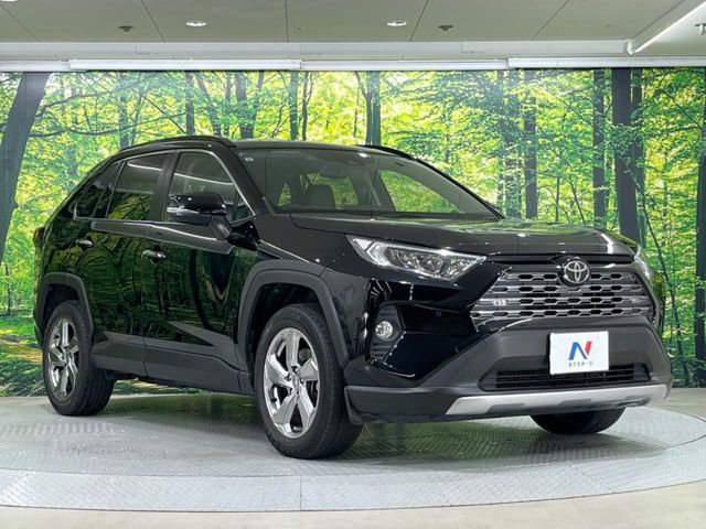TOYOTA RAV4 4WD 2019 Image 31