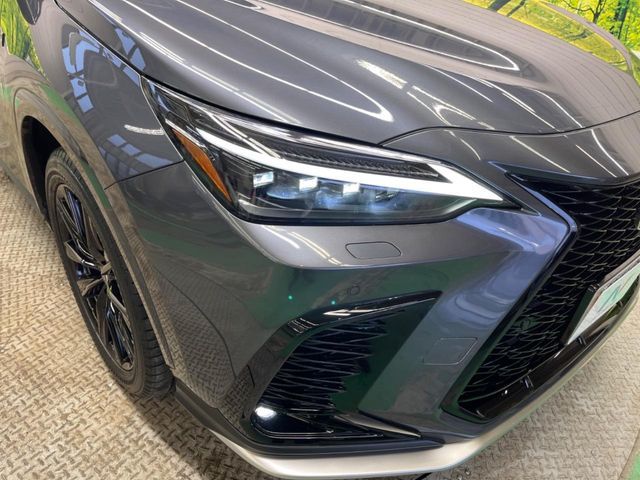 TOYOTA LEXUS NX350H 2023 Image 31