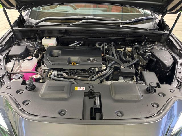 TOYOTA LEXUS NX350H 2023 Image 31