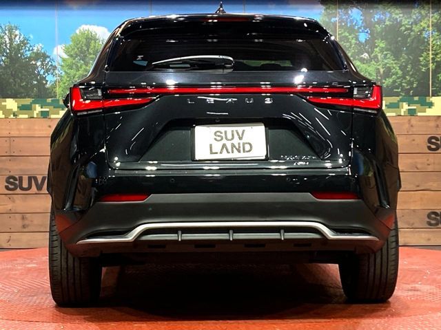 TOYOTA LEXUS NX450H+ AWD 2023 Image 31