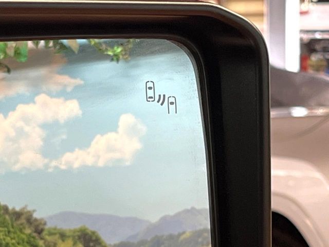 TOYOTA LANDCRUISER 250 2024 Image 31