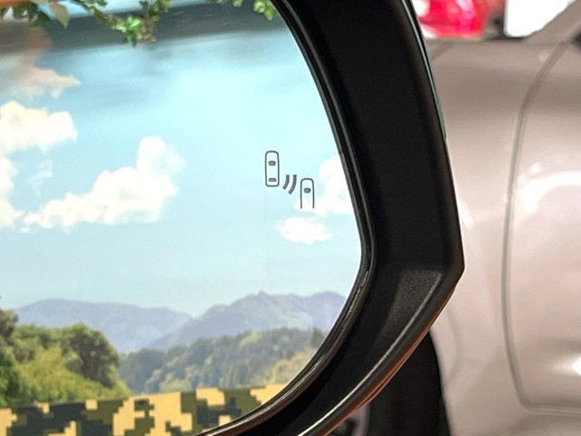 TOYOTA RAV4 4WD 2025 Image 31