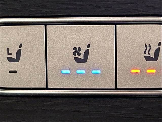 MERCEDES BENZ GLS CL 2020 Image 31