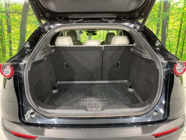 MAZDA CX-30 2019 Image 31