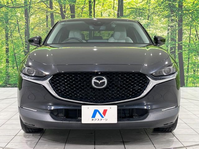 MAZDA CX-30 2019 Image 31