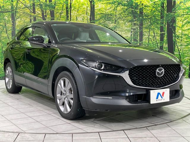 MAZDA CX-30 2019 Image 31