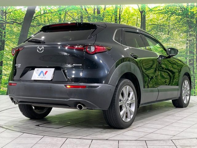 MAZDA CX-30 2019 Image 31