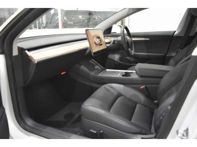 TESLA MODEL 3 2023 Image 31