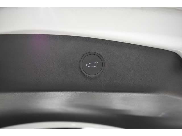 TESLA MODEL 3 2023 Image 31