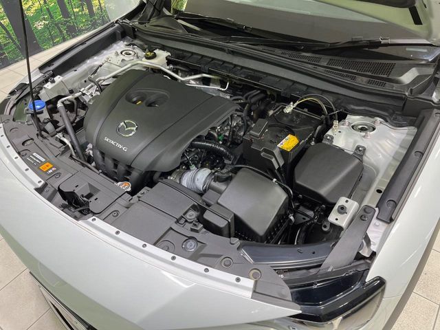 MAZDA MX-30 2021 Image 31