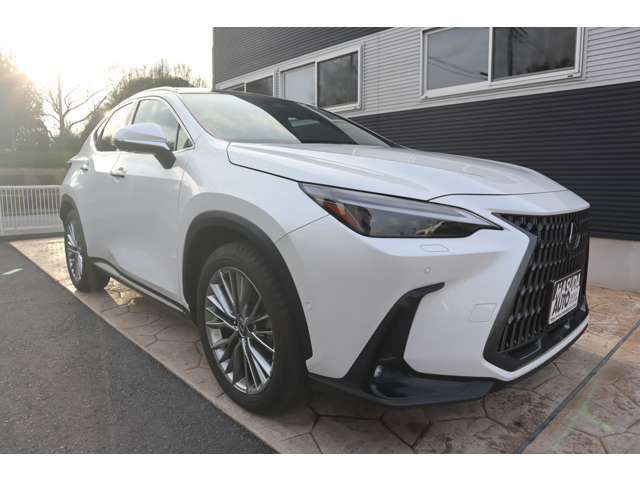 TOYOTA LEXUS NX350H 2023 Image 31