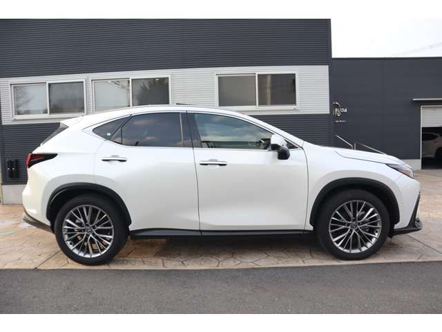 TOYOTA LEXUS NX350H 2023 Image 31