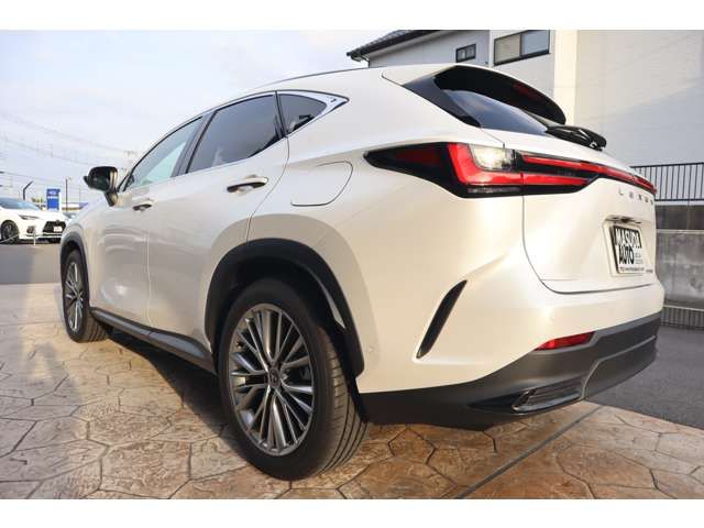 TOYOTA LEXUS NX350H 2023 Image 31