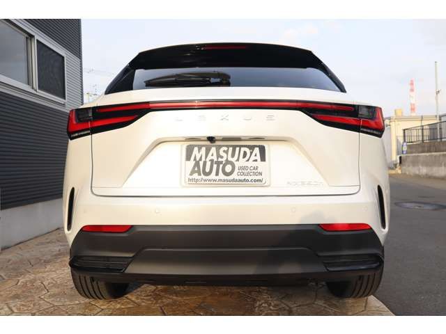 TOYOTA LEXUS NX350H 2023 Image 31