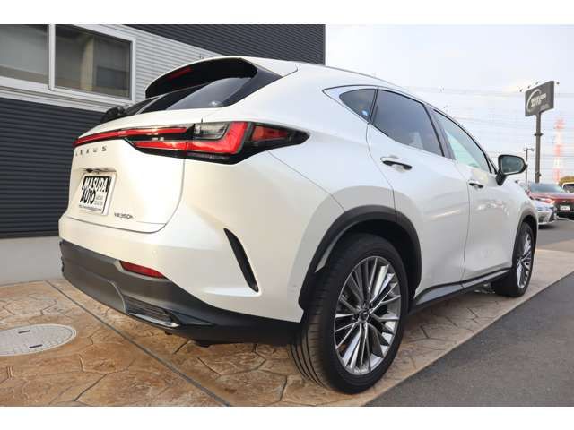 TOYOTA LEXUS NX350H 2023 Image 31