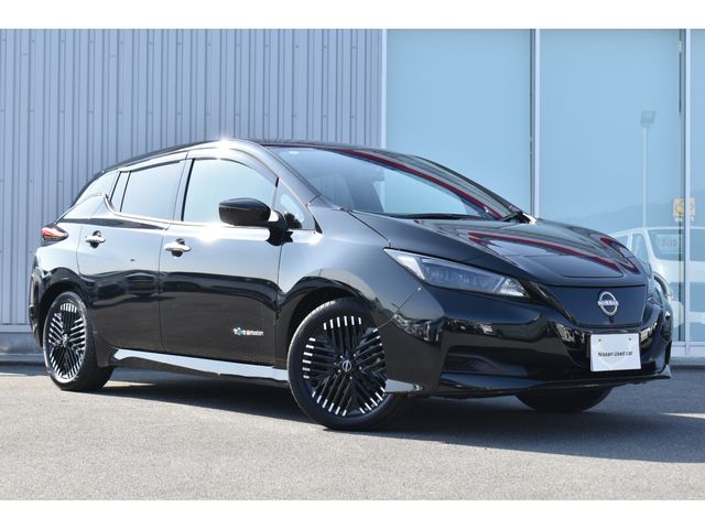 NISSAN LEAF 2025 Image 31