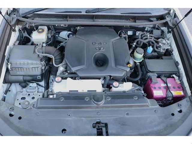 TOYOTA LANDCRUISER PRADO 2019 Image 31