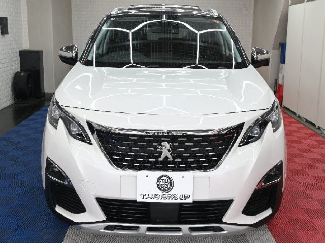 PEUGEOT 3008 2020 Image 31