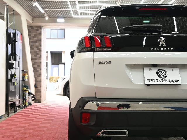 PEUGEOT 3008 2020 Image 31