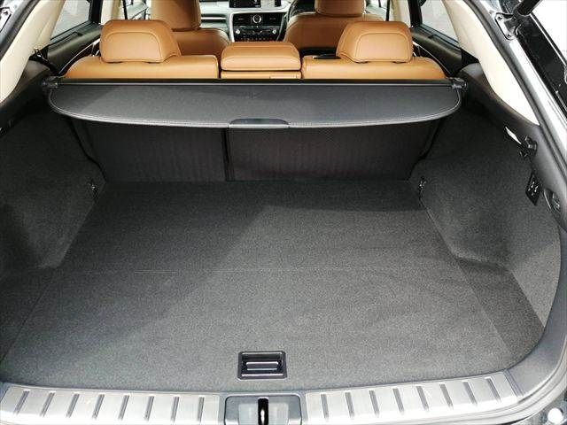 TOYOTA LEXUS RX300 AWD 2021 Image 31