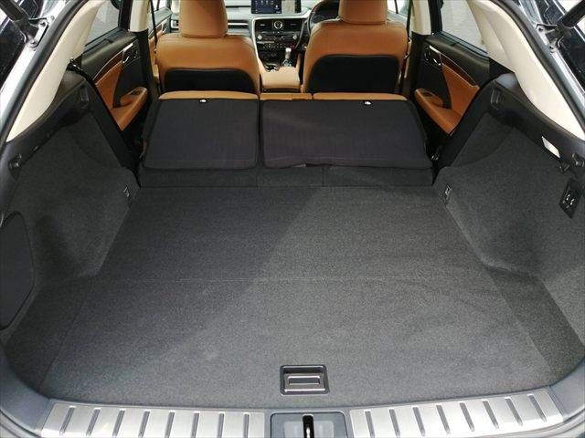 TOYOTA LEXUS RX300 AWD 2021 Image 31