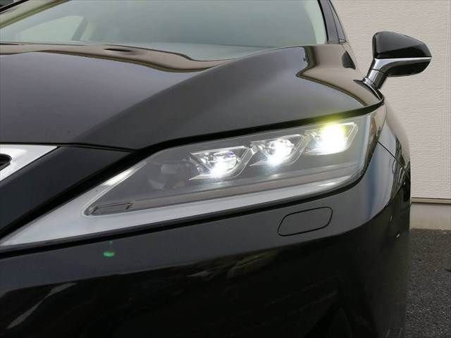 TOYOTA LEXUS RX300 AWD 2021 Image 31