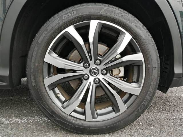 TOYOTA LEXUS RX300 AWD 2021 Image 31