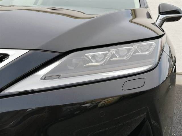 TOYOTA LEXUS RX300 AWD 2021 Image 31