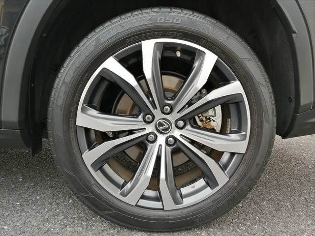 TOYOTA LEXUS RX300 AWD 2021 Image 31