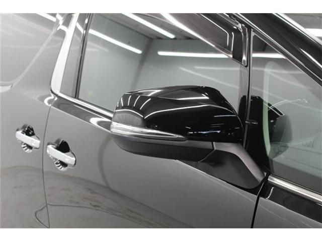 TOYOTA ALPHARD 2020 Image 31