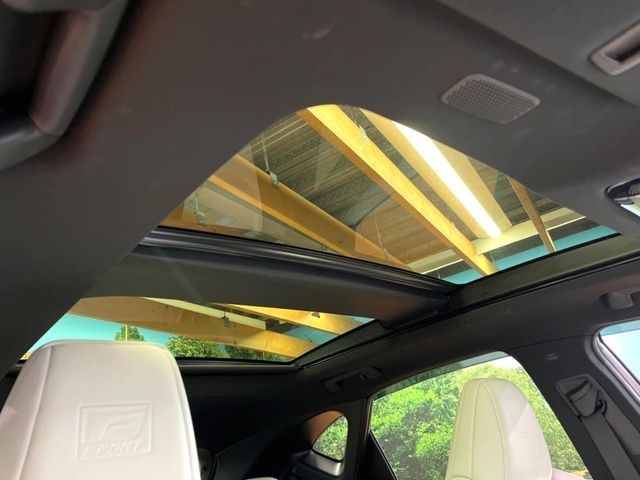 TOYOTA LEXUS NX350H 2023 Image 31