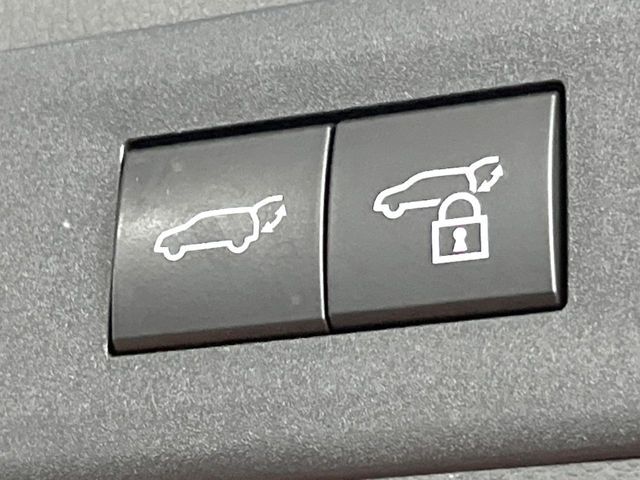 TOYOTA LEXUS NX350H 2023 Image 31