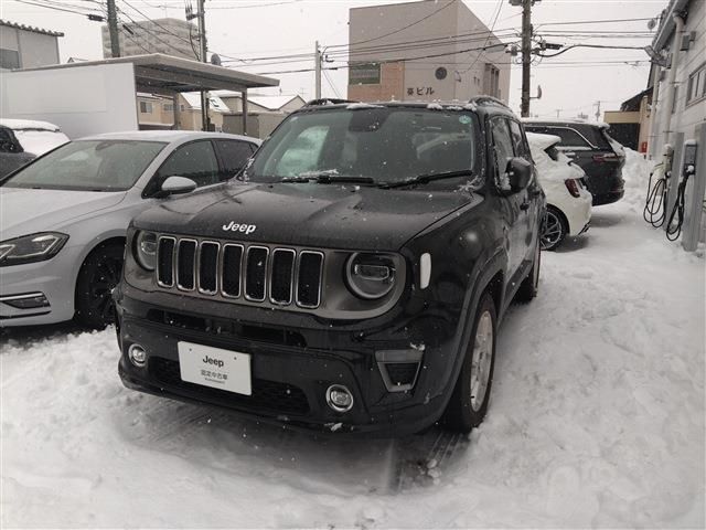 JEEP RENEGADE 2021 Image 31