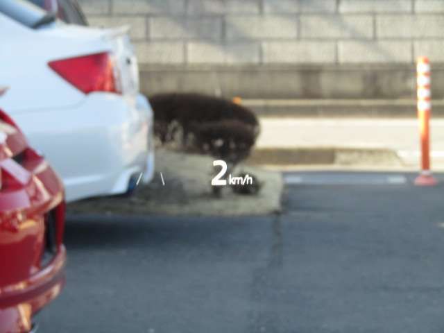 MAZDA CX-8 2023 Image 31