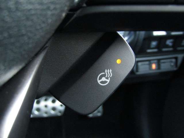 SUBARU FORESTER 2021 Image 31