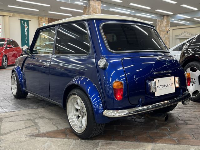 ROVER MINI 1997 Image 31