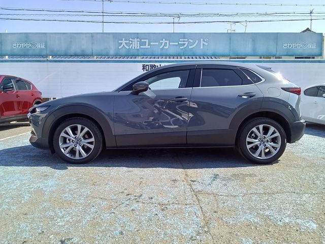 MAZDA CX-30 2021 Image 31