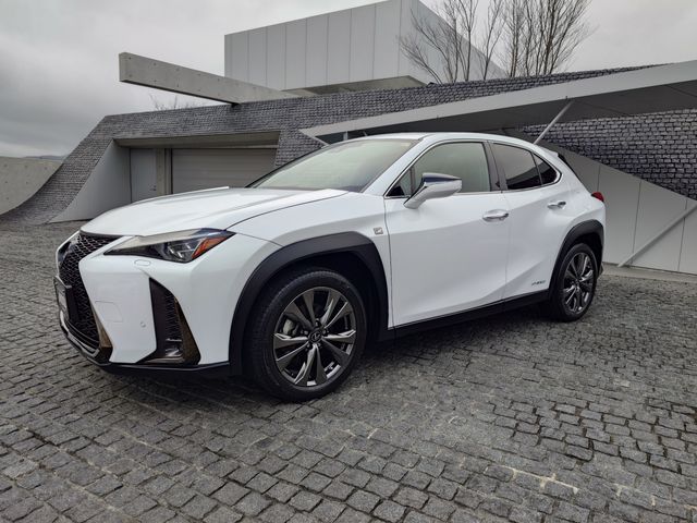 TOYOTA LEXUS UX250H 2019 Image 31