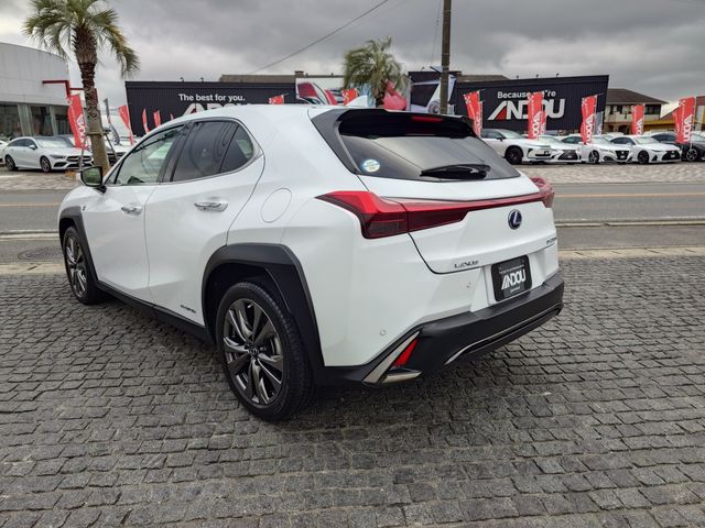 TOYOTA LEXUS UX250H 2019 Image 31