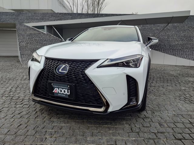 TOYOTA LEXUS UX250H 2019 Image 31
