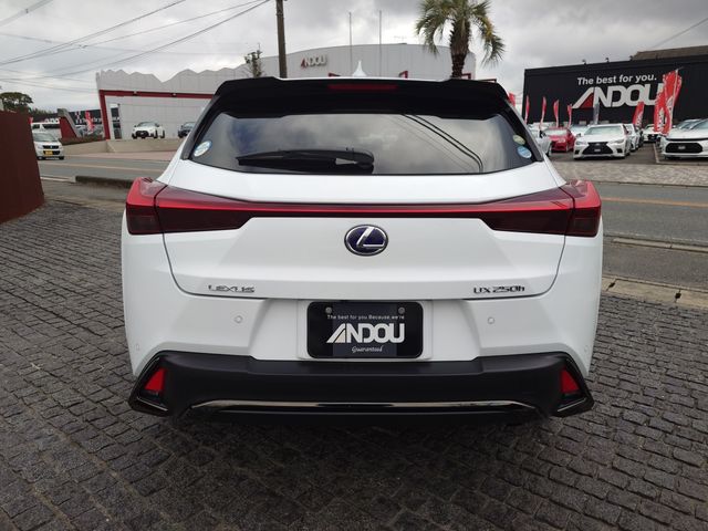 TOYOTA LEXUS UX250H 2019 Image 31