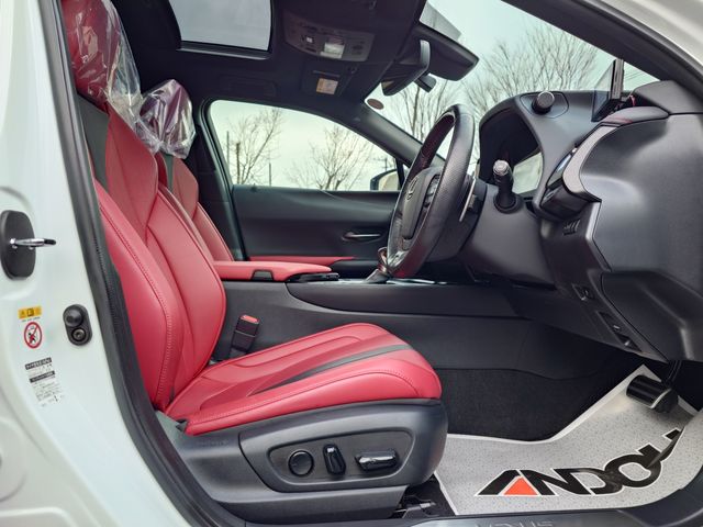 TOYOTA LEXUS UX250H 2019 Image 31