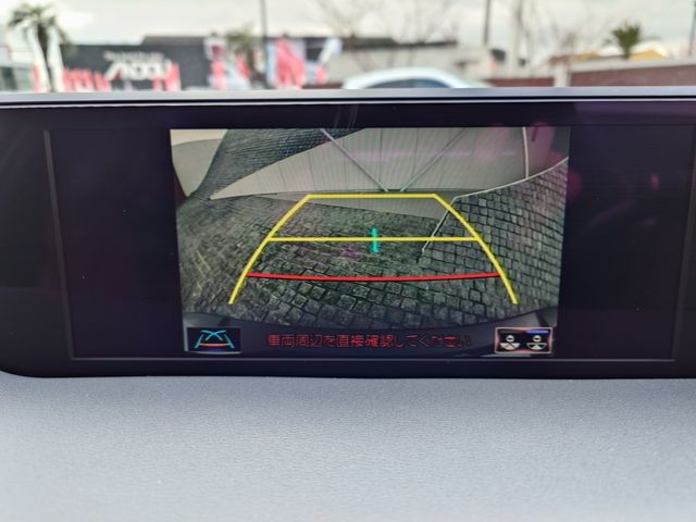 TOYOTA LEXUS UX250H 2019 Image 31